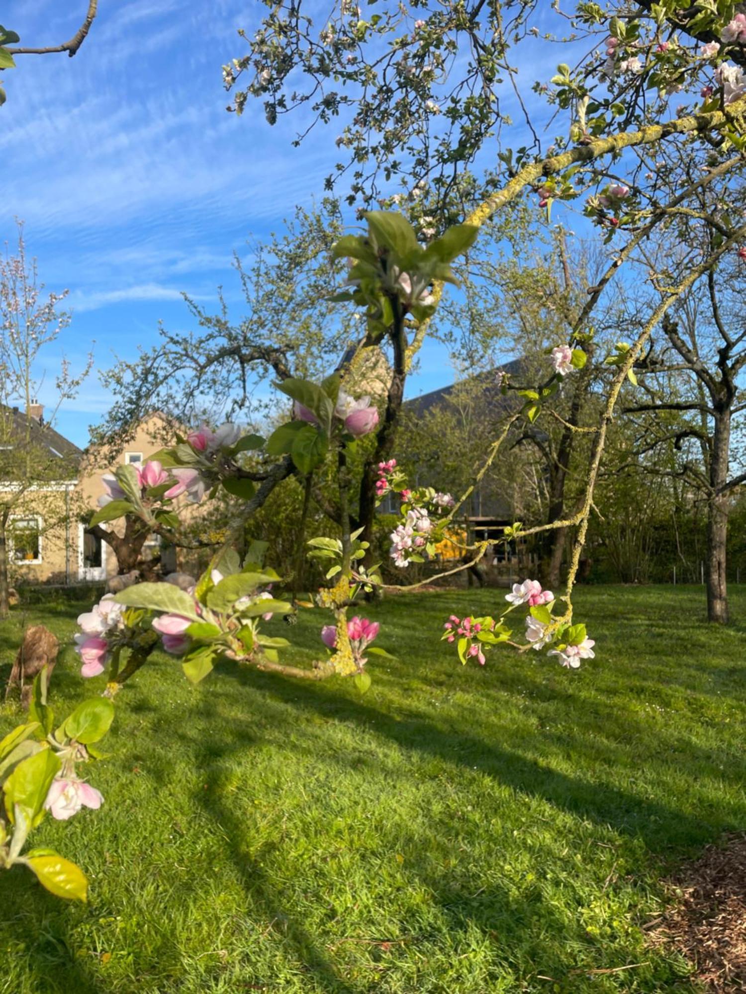 Appartement De Dageraad In Monumentale Boerderij 基姆斯沃德 外观 照片